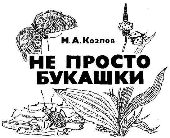 СанктПетербург Гидрометеоиздат 1994 Штриховые иллюстрации Т Г Кашицкой - фото 1