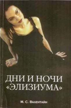 Мици Сцерето Валентайн Дни и ночи «Элизиума» обложка книги