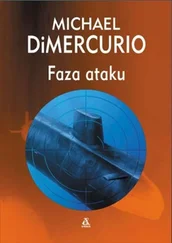 Michael DiMercurio - Faza Ataku
