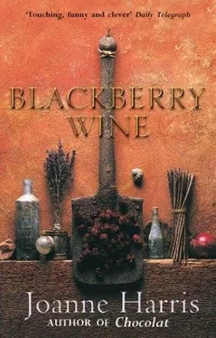 Joanne Harris Blackberry Wine обложка книги