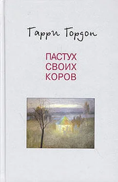 Гарри Гордон Огни притона обложка книги