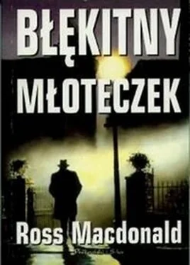 Ross MacDonald Błękitny młoteczek обложка книги