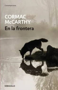 Cormac McCarthy En la frontera обложка книги