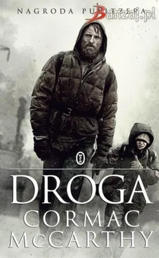 Cormac McCarthy Droga обложка книги