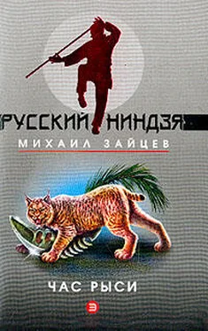 Михаил Зайцев Час рыси обложка книги