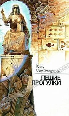 Рауль Мир-Хайдаров Пешие прогулки обложка книги