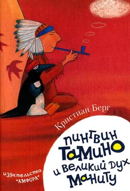Кристиан Берг Пингвин Тамину и великий дух Маниту обложка книги