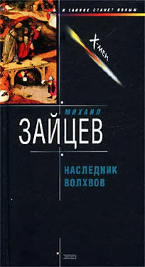 Михаил Зайцев Наследник волхвов обложка книги