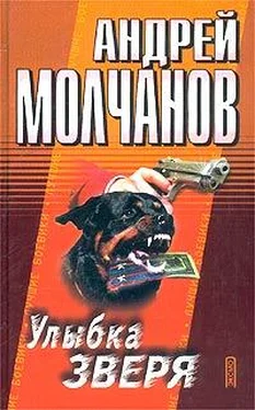 Андрей Молчанов Улыбка зверя обложка книги