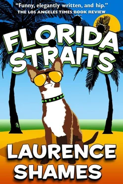 Laurence Shames Florida straits обложка книги