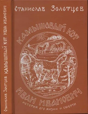 Станислав Золотцев Статьи и рецензии обложка книги