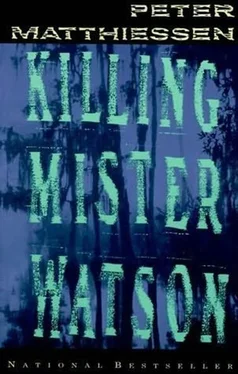 Peter Matthiessen Killing Mister Watson обложка книги