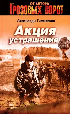 Александр Тамоников Акция устрашения обложка книги