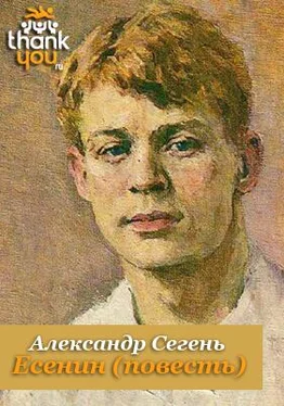 Александр Сегень Есенин обложка книги