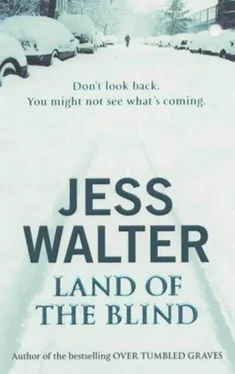 Jess Walter Land Of The Blind обложка книги