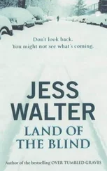 Jess Walter - Land Of The Blind