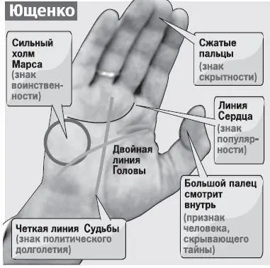 Рука Виктора Януковича На руке сразу бросаются в глаза два холма Первый - фото 152