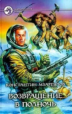 Константин Мзареулов Возвращение в Полночь обложка книги