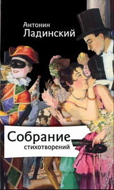 Антонин Ладинский Собрание стихотворений обложка книги