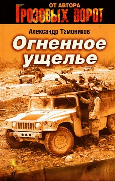 Александр Тамоников Огненное ущелье