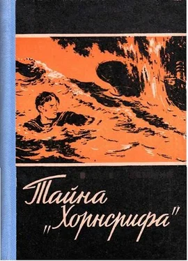 Вальтер Треммин Тайна «Хорнсрифа» обложка книги