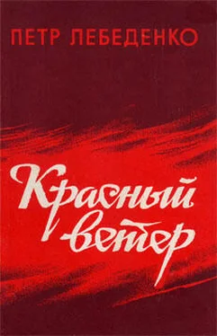 Петр Лебеденко Красный ветер обложка книги