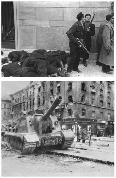 18 and 19 Hungary 1956Partisans with the corpses of secret policemen - фото 9