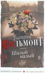 Екатерина Вильмонт - Шалый малый