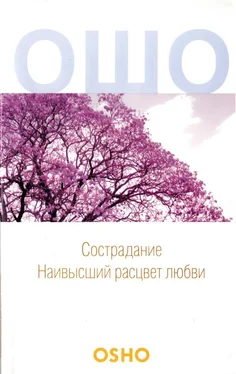 Бхагван Раджниш Сострадание: Наивысший расцвет любви обложка книги