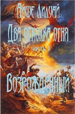 Айше Лилуай Возрождённый обложка книги