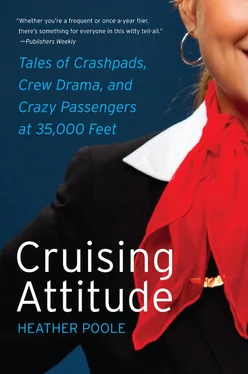 Heather Poole Cruising Attitude обложка книги