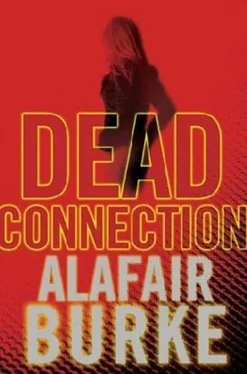 Alafair Burke Dead Connection обложка книги