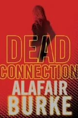 Alafair Burke - Dead Connection