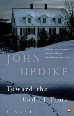 John Updike Toward the End of Time обложка книги