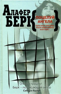 Алафер Берк Поцелуй ангела обложка книги