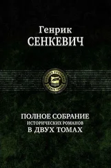 Генрик Сенкевич - На поле славы