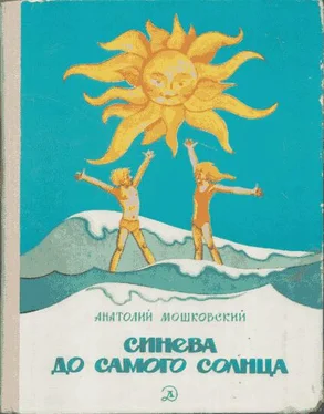 Анатолий Мошковский Синева до самого солнца, или Повесть о том, что случилось с Васей Соломкиным у давно потухшего вулкана обложка книги