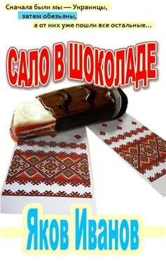 Гарри Токун Сало в шоколаде обложка книги
