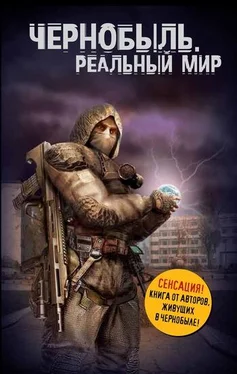 Денис Вишневский Чернобыль. Реальный мир обложка книги