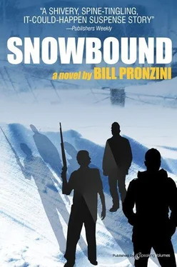 Bill Pronzini Snowbound обложка книги