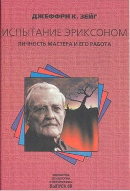 Джеффри Зейг Испытание эриксоном обложка книги