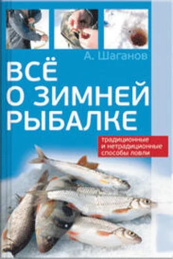 Антон Шаганов Все о зимней рыбалке обложка книги