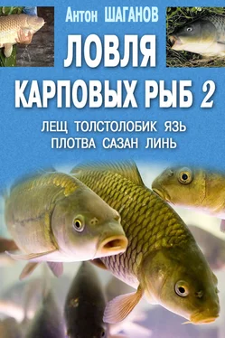 Антон Шаганов Ловля карповых рыб – 2 обложка книги