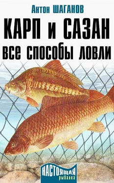 Антон Шаганов Карп и сазан. Все способы ловли обложка книги