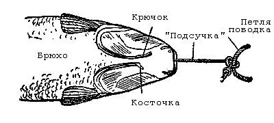 Рис 36 Положение крючка в жаберной щели попавшегося сазана Существует и - фото 37