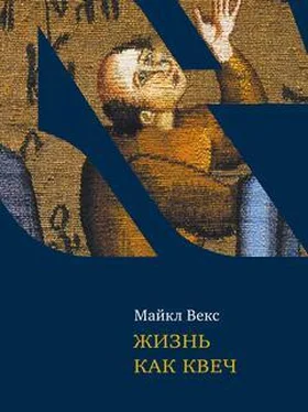 Майкл Векс Жизнь как квеч. Идиш: язык и культура обложка книги