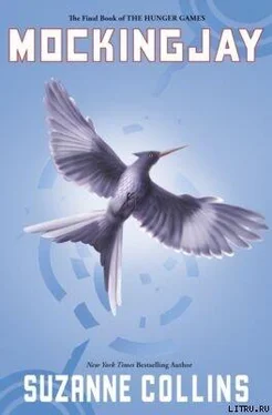 Сьюзен Коллинз Mockingjay обложка книги