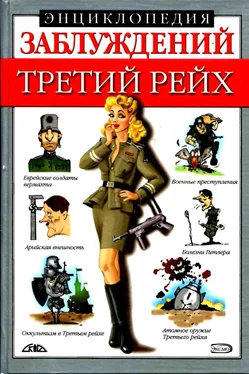 Лариса Лихачева Энциклопедия заблуждений. Третий рейх обложка книги