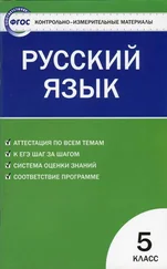 Наталия Егорова - Контрольно-измерительные материалы. Русский язык. 5 класс