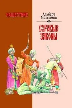 Альберт Максимов Нашествие. Суровые законы обложка книги